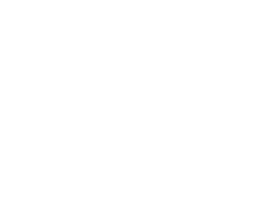 Boylesports Logo.png