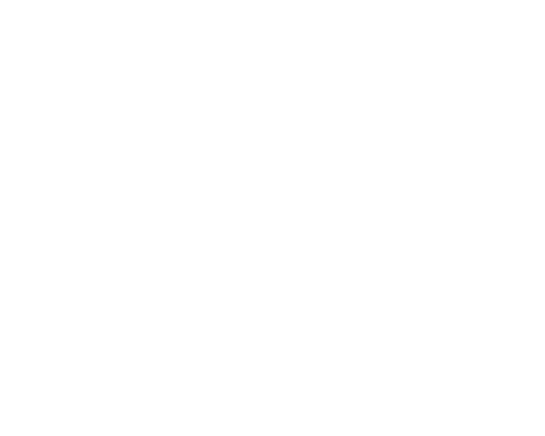 Bellingham Logo.png